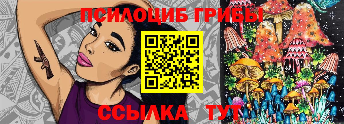 Псилоцибиновые грибы Psilocybe  Вход с VPN  закладки  Кострома 