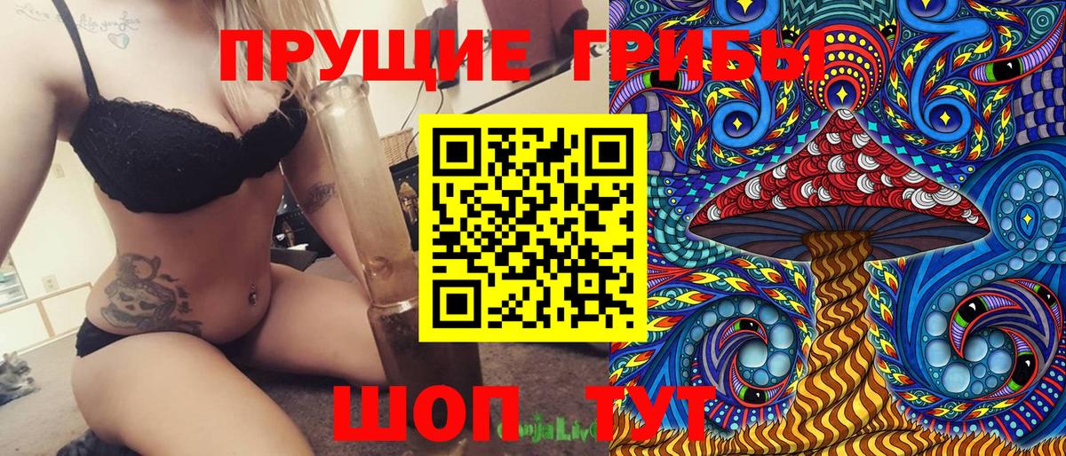 Псилоцибиновые грибы прущие грибы Кострома